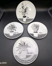 FITZ &amp; FLOYD Herb Salad Plates SET Of 4 Black &amp; White Dinnerware Sage Ca... - $357.21 MXN