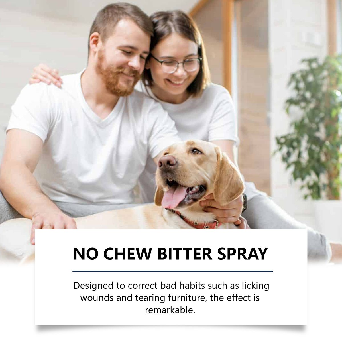 1/2Box x100ml NO chew bitter spray, Prevent pets dog cat from chewing furniture Item image 4