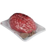 Loftus International Bloody Brain in Butcher Tray 7.5&quot; Decoration Prop P... - £7.68 GBP