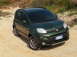 Fiat Panda 4x4 2013 Poster  18 X 24  - £23.12 GBP