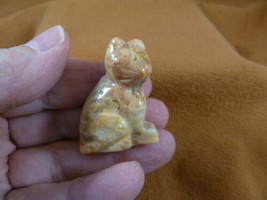 (Y-CAT-SIC-545) Mexican lace Agate KITTY CAT kitten GEMSTONE carving fig... - £10.95 GBP