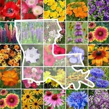 From Usa Wildflower Louisiana State Mix Perennial &amp;Annual 25 Types Usa Non-GMO 1 - £3.18 GBP