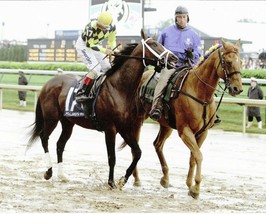 2004 - POLLARD&#39;S VISION in the Kentucky Derby Post Parade - 10&quot; x 8&quot; - £15.68 GBP