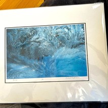 The Secret World of Frost Archival pigment print of a photograph by Mark... - $637.65 MXN