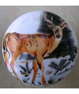 Cabinet Knobs Buck Whitetail Deer Wildlife #8 - $100.73 MXN