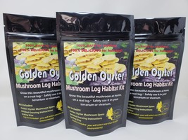 Golden Oyster Mushroom Log Habitat Kit For Terrariums Vivarium Reptile T... - $20.95