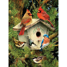 Junior Small Paint By Number Kit 8.75"X11.75" Native Neighbors - $13.85