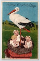 Stork With Babies In Nest On Chimney Postcard B44 - £5.55 GBP