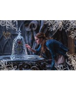 Walt Disney BEAUTY AND THE BEAST ROSE Movie POSTER NEW 22X34 - $20.31 CAD