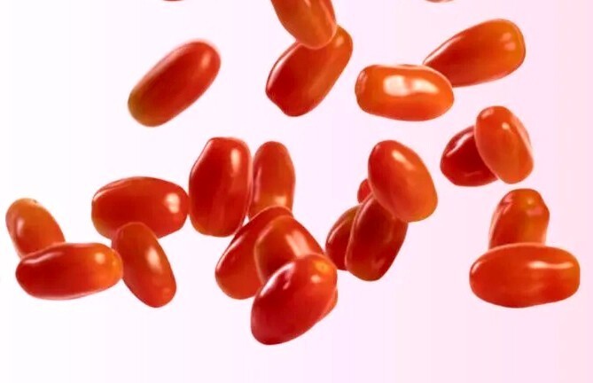PSA Red Mike And Ike Grape Tomato Seeds Sweet Snacking Garden Salad Cher... - $8.97