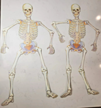 2 Halloween Paper Skeletons Jointed Die cut Wall Hanging Glowing 32&quot; From &#39;00 - £15.89 GBP