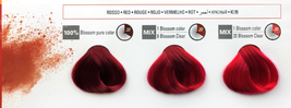 ITELY Hair Fashion Blossom Hair Color image 4