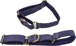 Blazing Paws Vibrania Martingale Slip-On Thick Distressed Leather Dog Collar For - $40.99