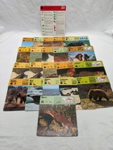 Lot Of (21) 1975 Rencontre Mammals III Education Cards - $39.59