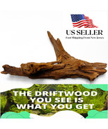 NATURAL MANGROVE DRIFTWOOD #114a WYSIWYG - AQUASCAPING, SUPER PRICE!! DE... - €21,09 EUR