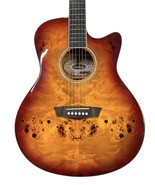 Washburn Guitar - Acoustic electric Dfbacea-u auditorium Deep Forest Bur... - €214,24 EUR