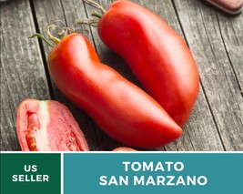 50 Pcs Tomato San Marzano Heirloom Seeds Solanum lycopersicum Seed - £15.39 GBP