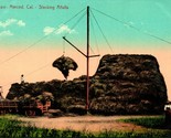 Vtg Postcard c 1910 Merced CA California - Stacking Alfalfa - Unused PNC - £7.67 GBP