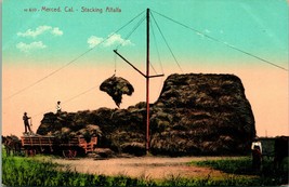 Vtg Postcard c 1910 Merced CA California - Stacking Alfalfa - Unused PNC - £7.68 GBP