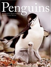New Book Penguins By Brutus Ostling Hardback Book 2ND Quality - £4.56 GBP