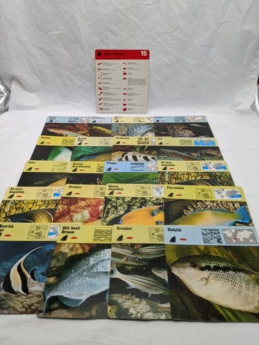 Lot Of (21) 1975 Rencontre Bony Fishes II Education Cards - $19.80