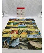 Lot Of (21) 1975 Rencontre Bony Fishes II Education Cards - $27.16 CAD