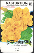 Semi-Double Golden Gleam Lone Star 10¢ Seed Pack - £4.79 GBP