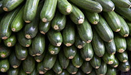 Semilir 30 Seeds Gray Zucchini Heirloom Summer Bush Squash Cucurbita Pepo Vegeta - £7.48 GBP