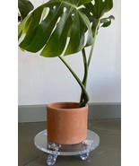 Acrylic plant caddy, dollies 10&quot;, 12&quot;, 14&quot;, 16&quot;, 18&quot;, 20&quot; or custom size - $65.00+