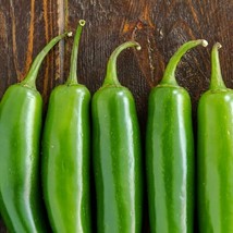 Serrano Hot Pepper Seeds 23 000 Scoville Mexican Verde Green Chili Hot Spicy Chi - $7.90