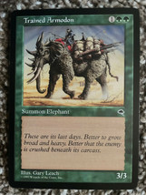 Magic The Gathering Trained Armodon Summon Elephant 1997 Wizards Of The Coast - £0.77 GBP