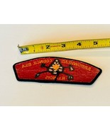 Boy Scout Cub Girl Patch Vtg Council Badge Memorabilia Arrowhead Illinoi... - £13.37 GBP