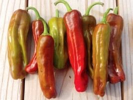 SWEET PEPPER ITALIAN PEPPERONCINI, 25 SEEDS R - $267.26 MXN