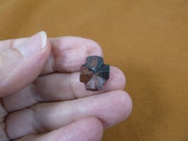 (CR593-101) 5/8&quot; Fairy Stone Christian Cross Oiled Staurolite Crystal Matrix - £12.65 GBP