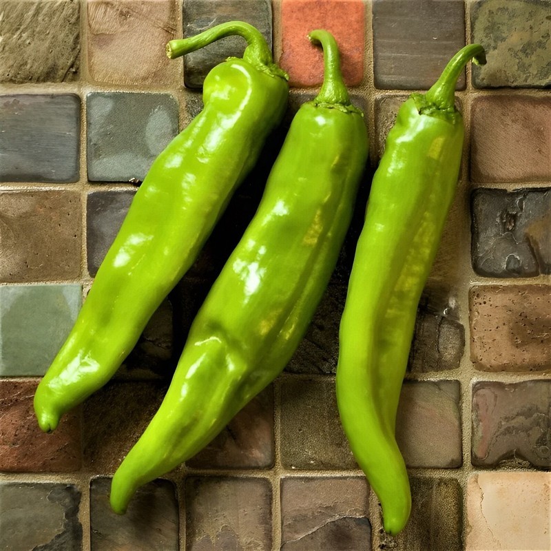 PSA New Mexico Big Jim Mild Chili Pepper 15 Seeds Numex Hatch Ristra Eas... - $10.07
