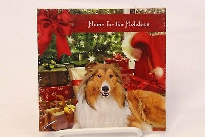 Primary image for Home for the Holiday CD Various Artist