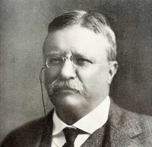 Theodore Roosevelt Print 1919 Portrait Antique President Collectibles DW... - $24.99