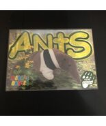 TY Beanie Babies BBOC Card Series 3 Common Ants the Anteater #4195 Artis... - €3,83 EUR