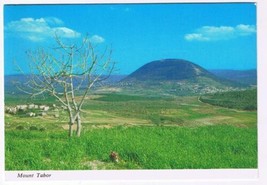 Israel Holy Land Postcard Mount Tabor - $2.96