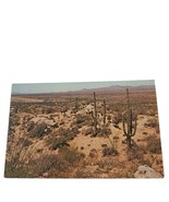 Postcard The Brave Bull Ranch Resort Cactus Tucson Arizona Chrome Unposted - $88.75 MXN