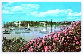 Postcard Wychmere Harbor on Cape Cod Massachusetts Wild Roses - £3.56 GBP