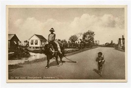 On The Road Georgetown Guyana Demerara Postcard 1920&#39;s Man on Ox Boy Wal... - £14.03 GBP