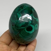 0.85 lbs, 2.9&quot;x2.1&quot;, Natural Solid Malachite Egg Polished Gemstone @Congo, B3276 - £243.16 GBP