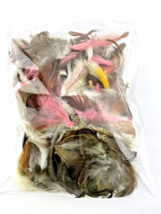 Craft Feathers Multi-Color Brown Pink Yellow White  - $19.27