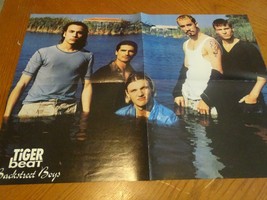 Backstreet Boys Ricky Martin teen magazine poster clipping wet lake Tige... - £3.92 GBP