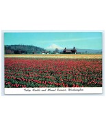 Vintage Tulip Fields Blooming Farm Mount Rainier WA Postcard - $9.81 CAD