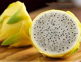 60 Seeds Large Yellow Dragon Fruit Pitaya Organic Seeds - £7.73 GBP