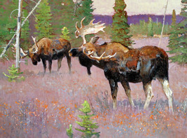 Framed canvas art print Giclée saber rattling moose - £31.06 GBP+