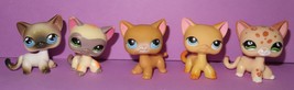 Littlest Pet Shop G2 LPS Shorthair Cat #5 #71 #339 #852 #1116 Popular Kitten Lot - £69.01 GBP