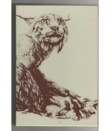 Gabe Habash STEPHEN FLORIDA First edition SIGNED HC Slipcase &amp; Booklet W... - $15.75